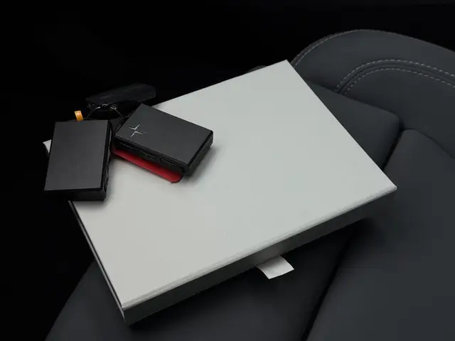 Polestar 2 Long Range Dual Motor AWD 2020 Elektrisch 32