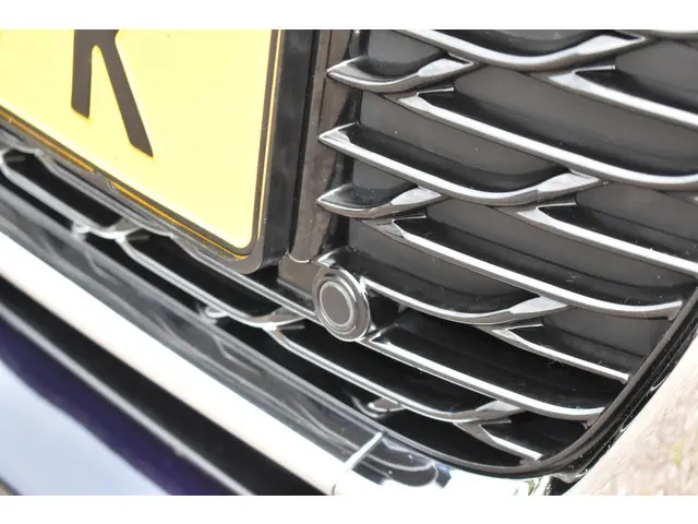 DS DS 3 PureTech 82 Business 2016 Benzine 13