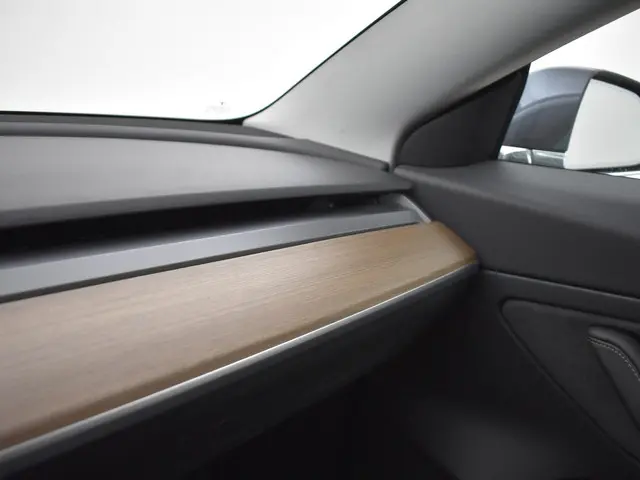Tesla Model 3 PERFORMANCE 463 PK AWD *BTW* 2019 Elektrisch 39