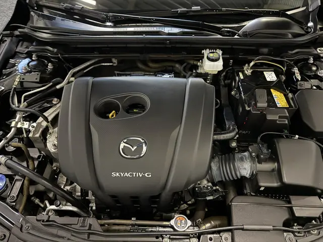 Mazda 3 2.0 e-SkyActiv-G M Hybrid 122pk 2019 Benzine 31
