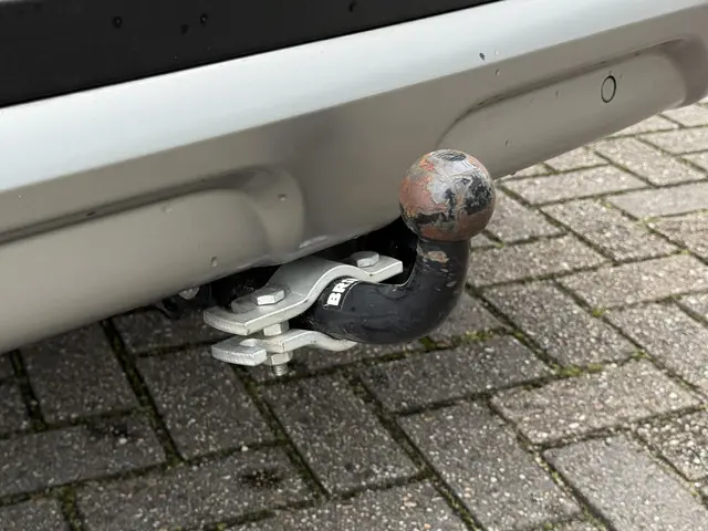 Renault Kadjar 1.3 TCe Intens 2019 Benzine 14