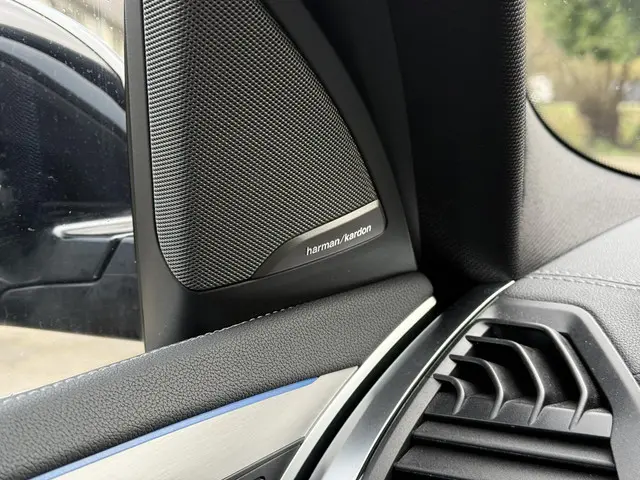 BMW iX3 Aut. High Executive 80 kWh 2021 Elektrisch 28