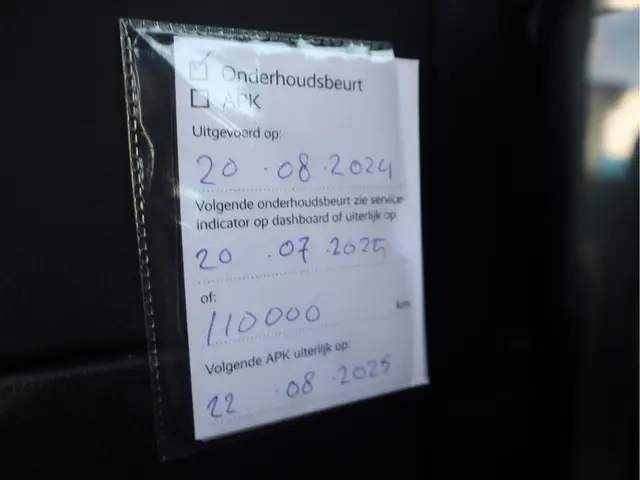 Renault Kadjar 1.2 TCe 2017 Benzine 22