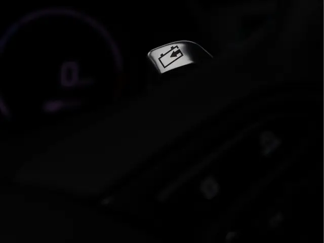 Kia e-Niro ExecutiveLine 64 kWh 2019 Elektrisch 37