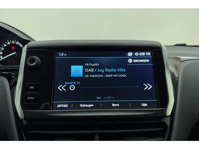 Peugeot 208 1.2 PureTech Blue Lion 2018 Benzine 21