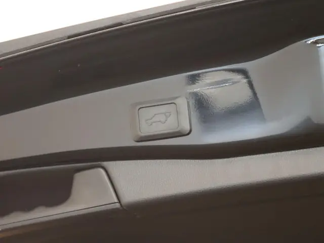 Toyota RAV4 2.5 Hybrid Active Plus 2020 Hybride Benzine 18