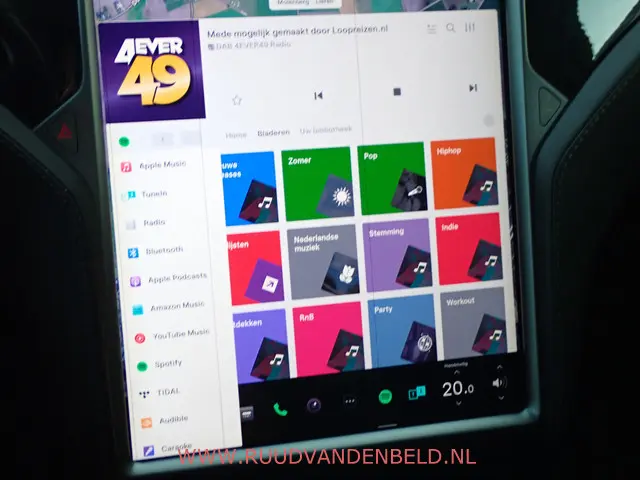 Tesla Model X 75D 2018 Elektrisch 24
