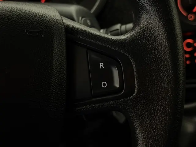 Renault Kangoo 1.5 Blue dCi 95 Work Edition 2020 Diesel 20