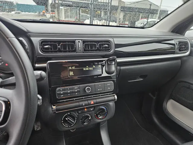 Citroën C3 1.2 PureTech S&S Shine 2020 Benzine 12