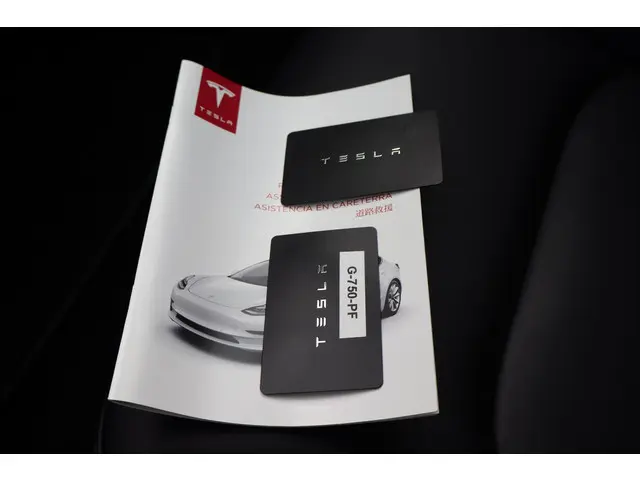 Tesla Model 3 Long Range AWD 75 kWh 2019 Elektrisch 3