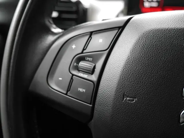 Citroën C4 Cactus 1.2 PureTech Business 2016 Benzine 22