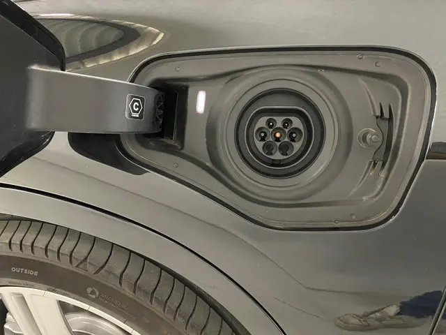 BMW X1 xDrive25e Executive 2021 Hybride Benzine 12