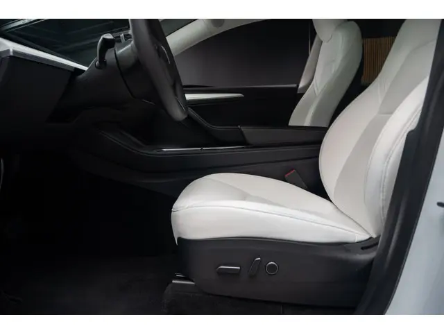 Tesla Model Y Long Range AWD 75 kWh 2023 Elektrisch 15