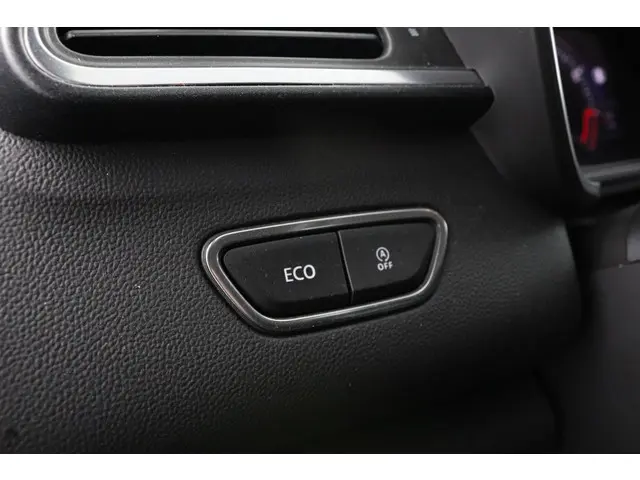 Renault Kadjar 1.3 TCe 160 Intens 2019 Benzine 35