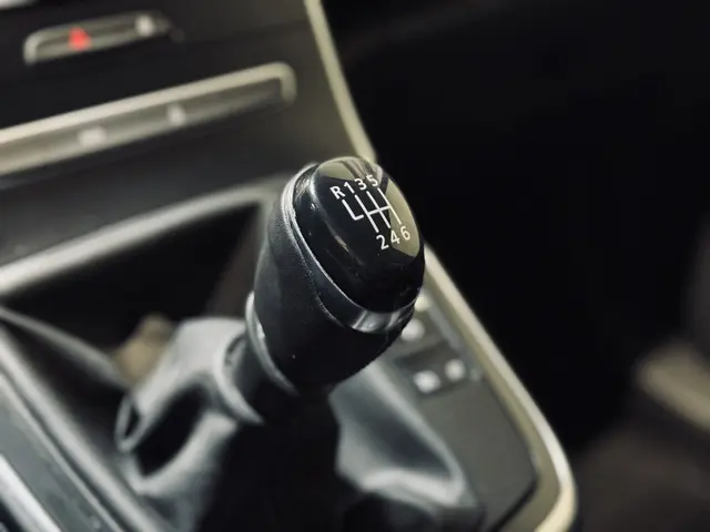 Renault Scénic 1.3 TCe Limited 2019 Benzine 21