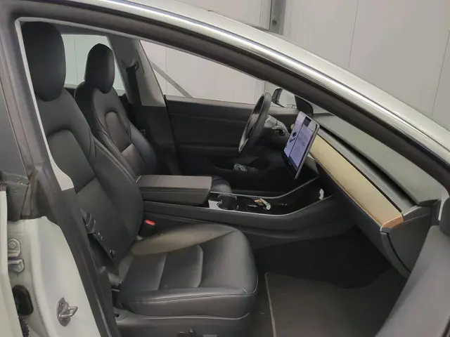 Tesla Model 3 Range Plus 2020 Elektrisch 8