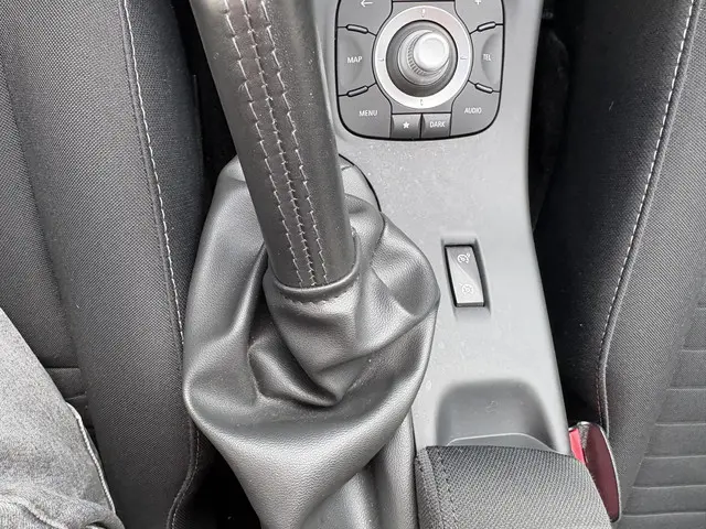 Renault Mégane 1.2 TCe Limited 2014 Benzine 19