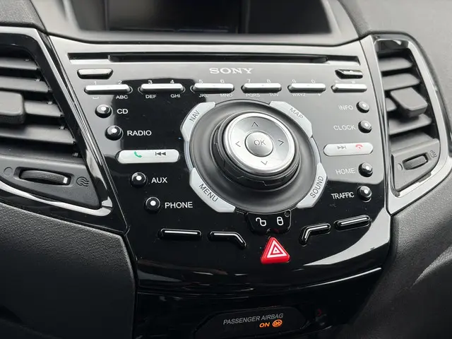 Ford Fiesta 1.0 EcoBoost Black Edition 2016 Benzine 20