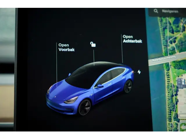 Tesla Model 3 Standard RWD Plus 60 kWh 2019 Elektrisch 25