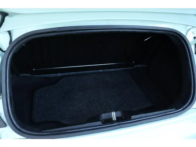 Fiat 500C 1.2 Lounge 2019 Benzine 28