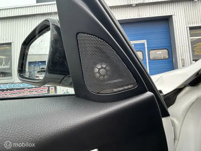 BMW 3 Serie 318i M Sport Edition 2018 Benzine 19