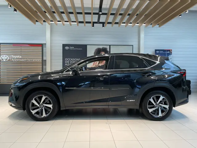 Lexus NX 300h AWD President Line 2020 Hybride Benzine 3