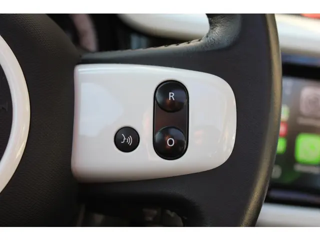 Renault Twingo 0.9 TCe Intens 90 pk EDC 2020 Benzine 35