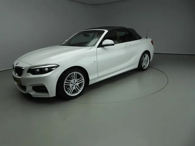 BMW 2 Serie Cabrio 220i 2018 Benzine 50