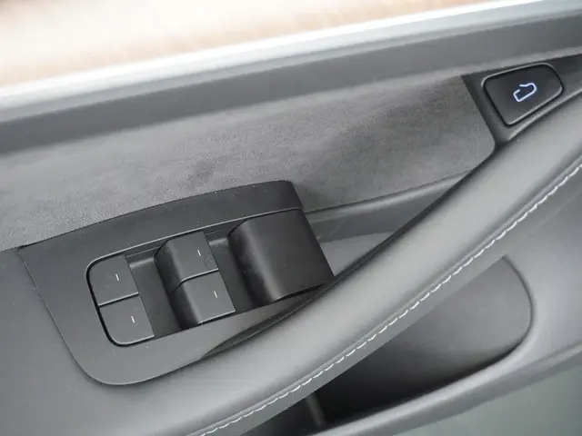 Tesla Model 3 Standard RWD Plus 60 kWh 2021 Elektrisch 18