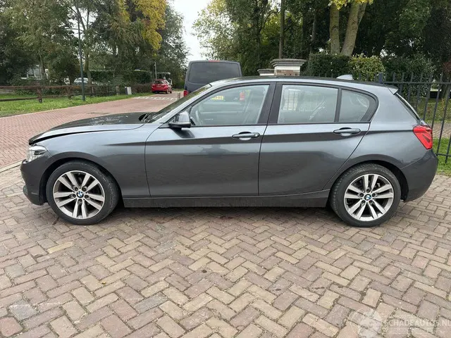 BMW 1 Serie 118i Executive 2017 Benzine 2