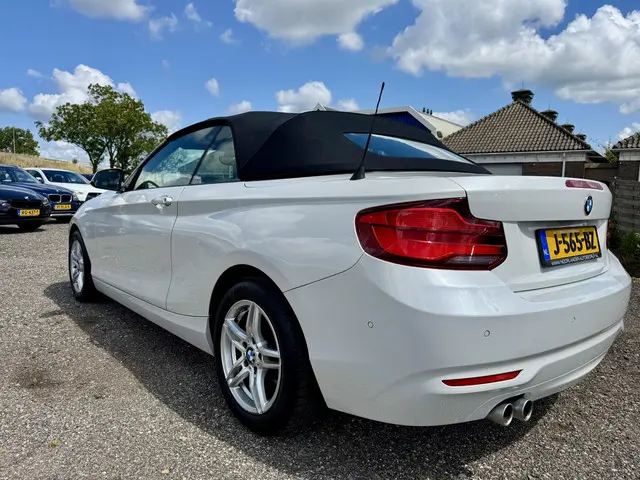 BMW 2 Serie Cabrio 220i Executive 2017 Benzine 8