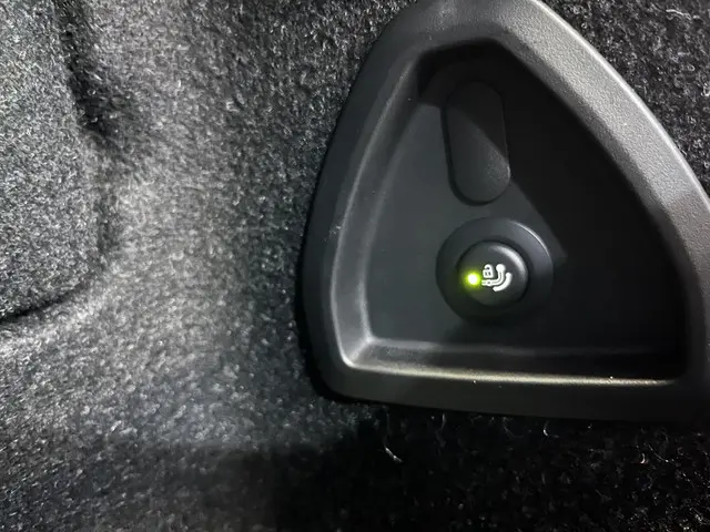 BMW 3 Serie 320i Luxury High Executive 2020 Benzine 31