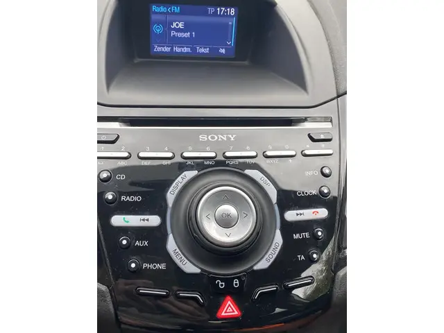 Ford Fiesta 1.25 2016 Benzine 14