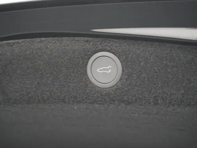 Tesla Model 3 Performance AWD 78 kWh 2025 Elektrisch 12