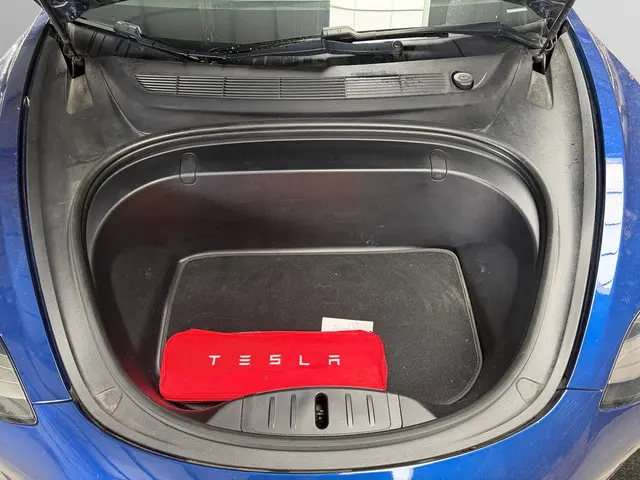 Tesla Model 3 Long Range AWD 75 kWh 2019 Elektrisch 21