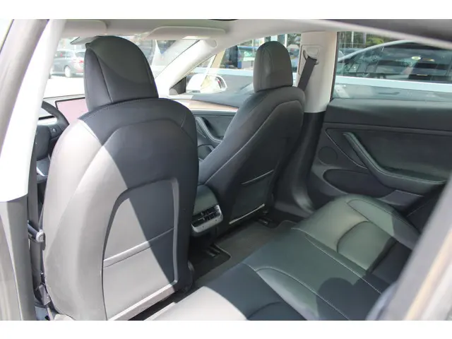 Tesla Model 3 Standard RWD Plus 60 kWh 2022 Elektrisch 14