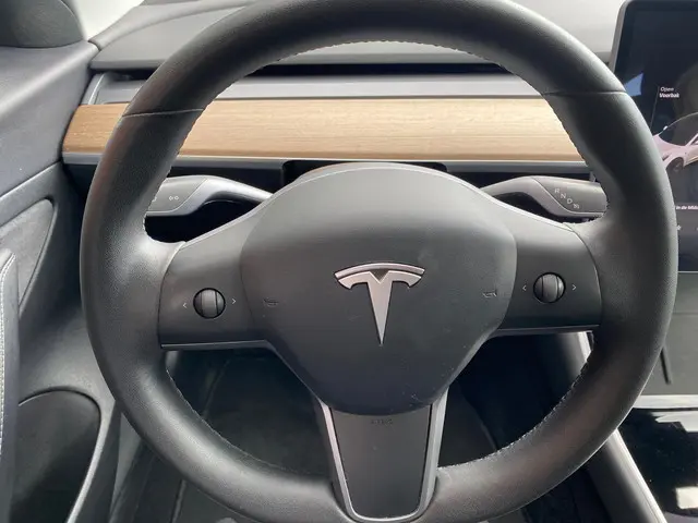 Tesla Model 3 Standard RWD Plus 60 kWh 2020 Elektrisch 15