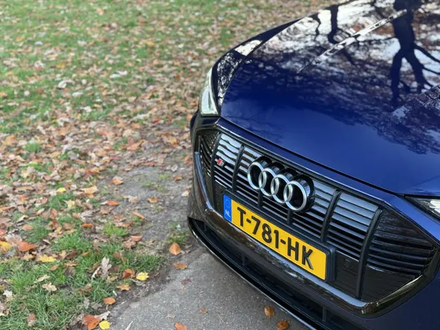 Audi e-tron S quattro 95 kWh 2021 Elektrisch 40