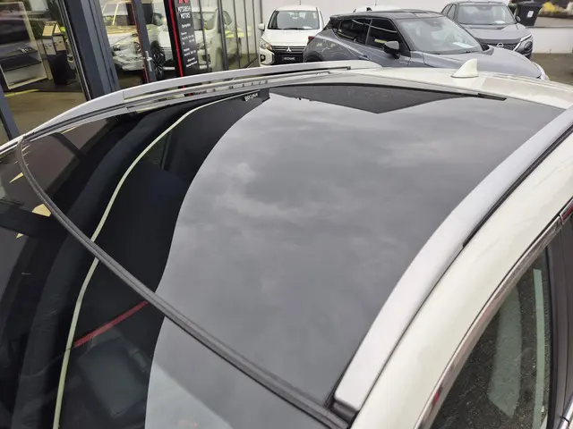 Nissan QASHQAI 1.3 DIG-T Premium Edition 2021 Benzine 30