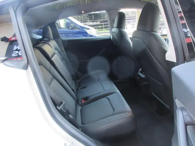 Tesla Model Y Long Range AWD 75 kWh 2022 Elektrisch 12