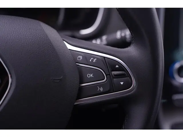 Renault Grand Scénic 1.3 TCe Techno 7p. 2022 Benzine 22