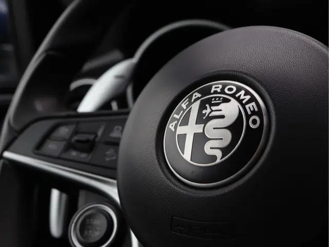 Alfa Romeo Stelvio 2.0 T AWD 2018 Benzine 56