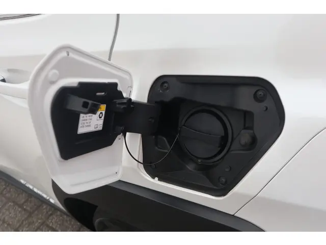 Lexus UX 300e Business 54 kWh 2021 Elektrisch 45