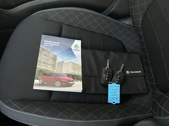 Škoda Fabia 1.0 TSI Ambition 2021 Benzine 13