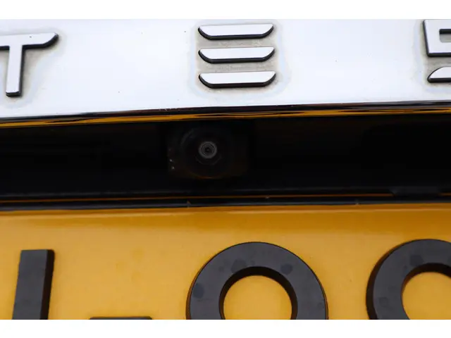 Tesla Model S Performance 2020 Elektrisch 20