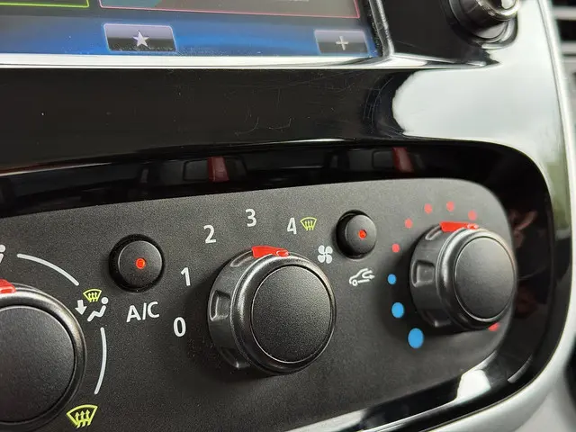 Renault Trafic 1.6 dCi T29 L2H1 DC Comfort 2019 Diesel 20