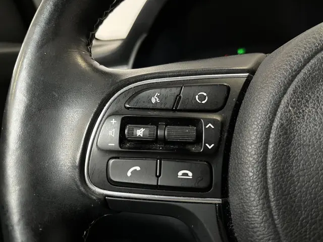 Kia e-Niro ExecutiveLine 64 kWh 2020 Elektrisch 39