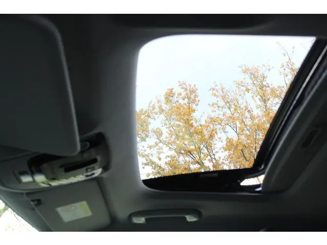 Kia Niro EV DynamicPlusLine 64.8 kWh 2023 Elektrisch 23