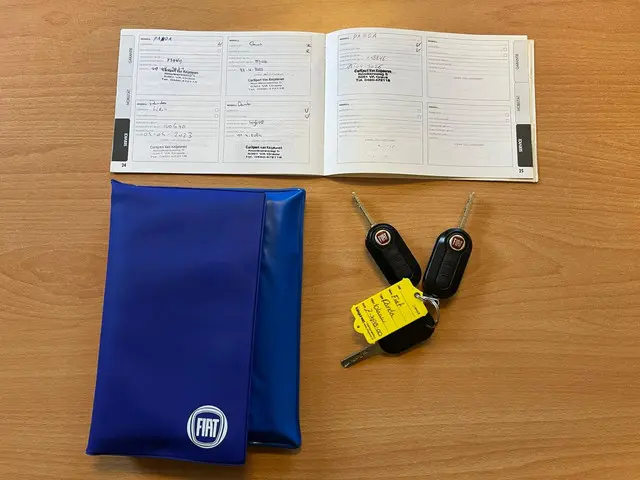 Fiat Panda 1.2 Sempre Prachtige staat 2013 Benzine 19