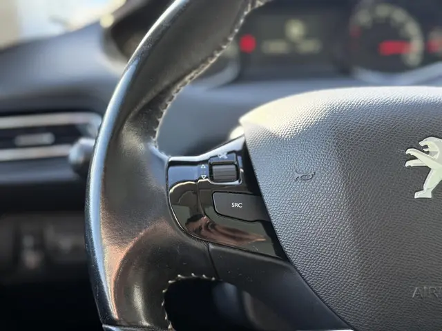 Peugeot 308 SW 1.2 PureTech Blue Lion 2017 Benzine 20